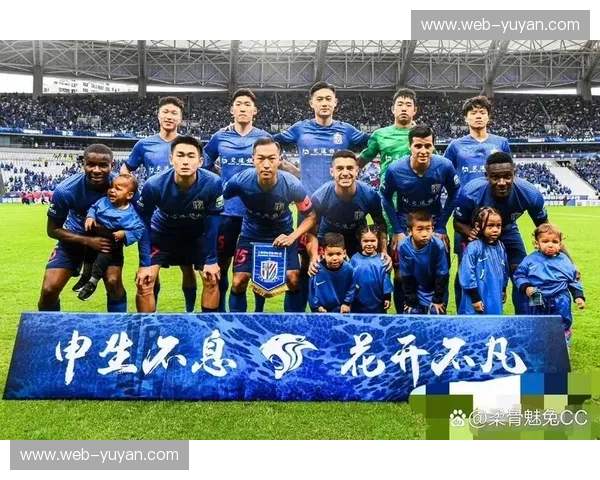 申花之魂,蓝血沸腾:上海申花与北京北控的绿茵对决,一场不止于胜负的较量
